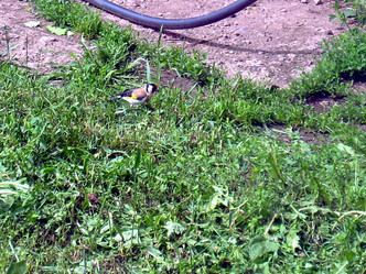 Similar image 21911997