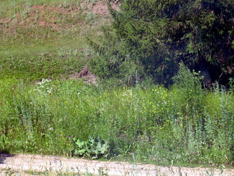 Similar image 21911998