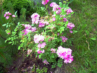 Similar image 21911999