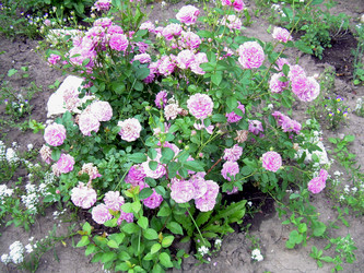 Similar image 21912000