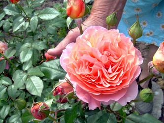 Similar image 21912002