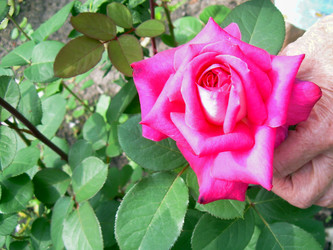 Similar image 21912003