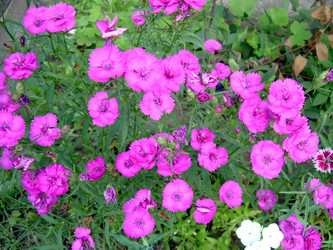 Similar image 21912005