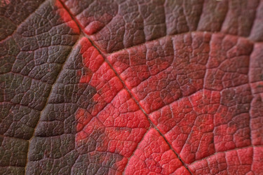 Similar image 21934240