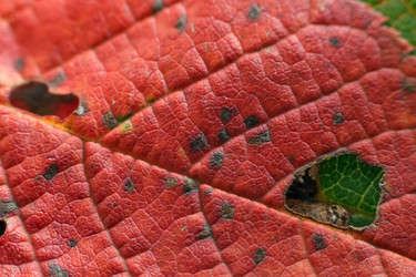 Similar image 21934242