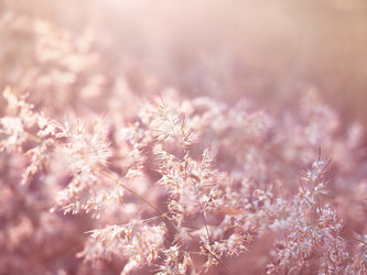 Similar image 21912822