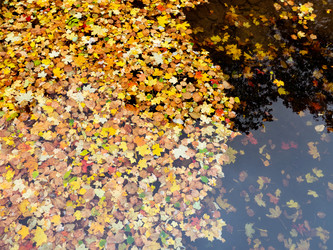 Similar image 21912826