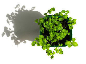 Similar image 21912674