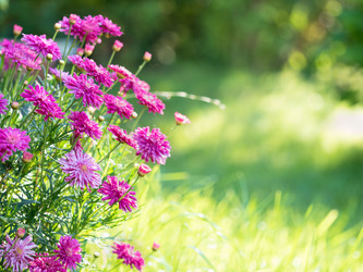 Similar image 21912677