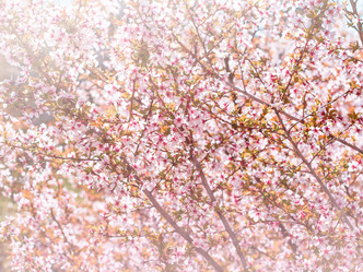 Similar image 21912678