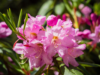 Similar image 21912845