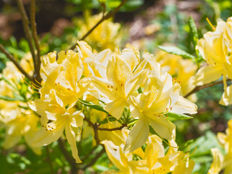 Similar image 21912850