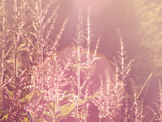 Similar image 21912855