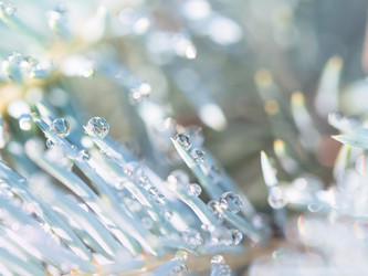 Similar image 21912857