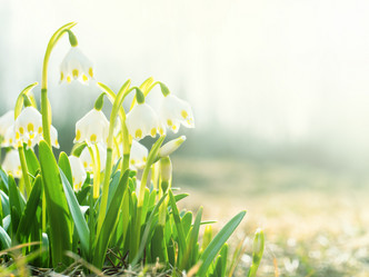 Similar image 21912859