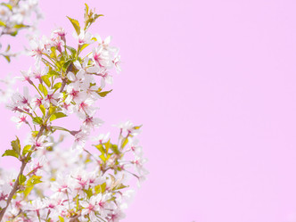 Similar image 21912861