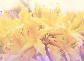 Similar image 21912862