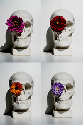 Similar image 21911561