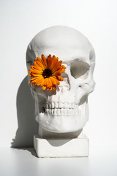 Similar image 21911562