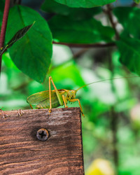 Similar image 21911563