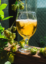 Similar image 21911565