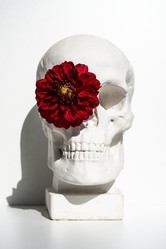 Similar image 21911570