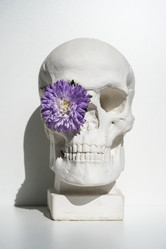 Similar image 21933178