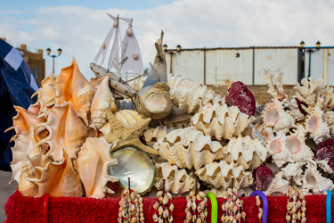 Similar image 21947233