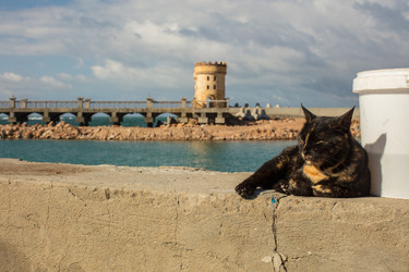 Similar image 21947241