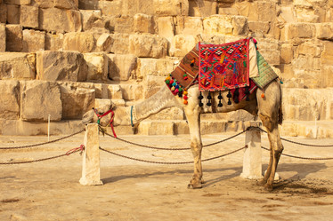 Similar image 21947247