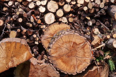 Similar image 21946460