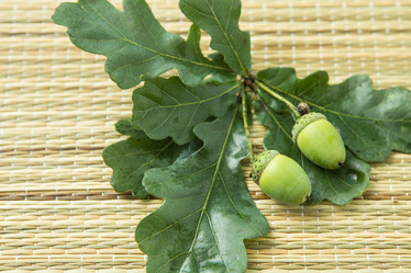 Similar image 21947498