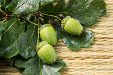 Similar image 21947501