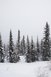 Similar image 21947710