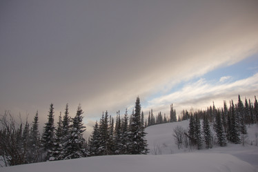 Similar image 21947909