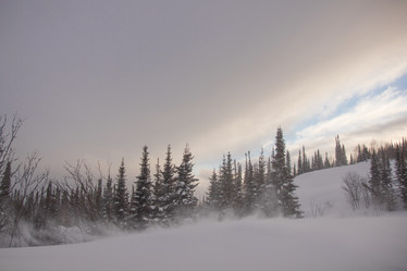 Similar image 21947910