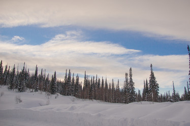 Similar image 21947911