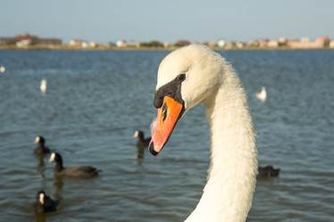 Similar image 21947913