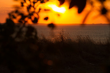 Similar image 21947914