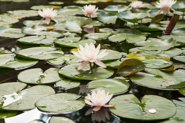 Similar image 21947917