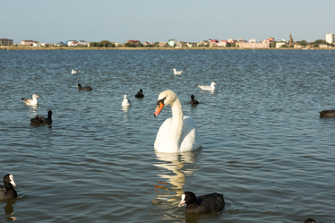 Similar image 21947918