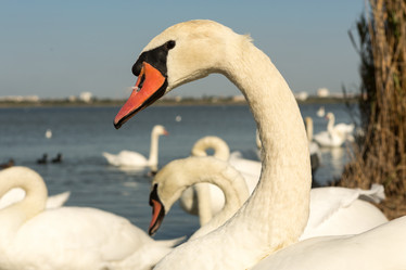 Similar image 21947919