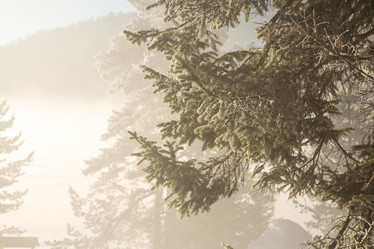 Similar image 21947923