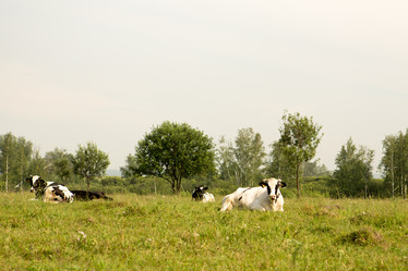 Similar image 21949787