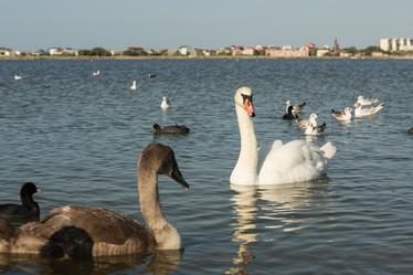 Similar image 21949790