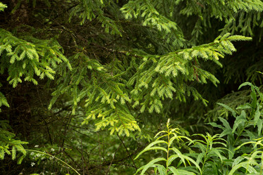 Similar image 21949791