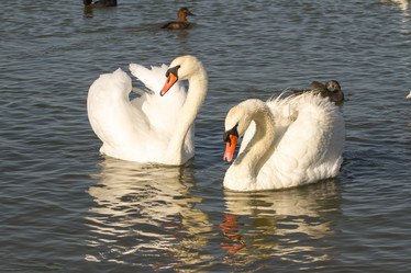 Similar image 21947263