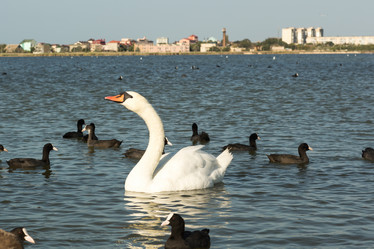 Similar image 21947264