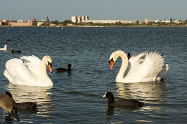 Similar image 21947266