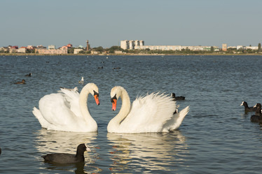 Similar image 21947269